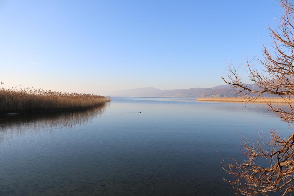 Hotel Montenegro Struga Exteriér fotografie